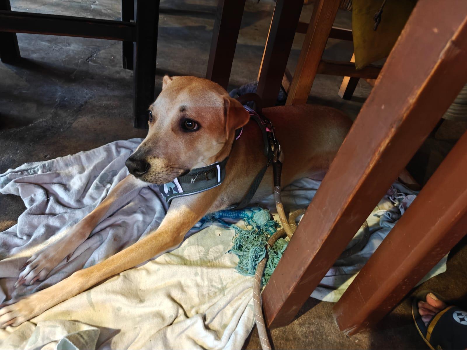 Cover Image From the Beginning